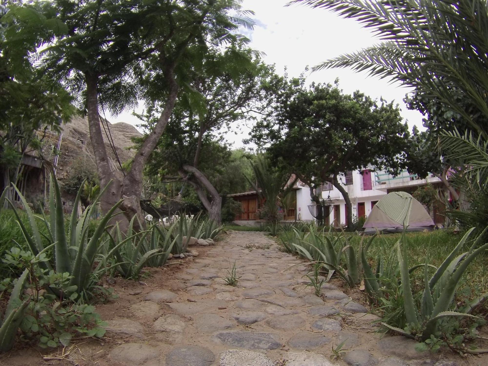 Hostal Naylamp Huanchaco Exterior photo